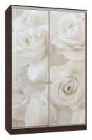 Шкаф-купе Рио 7-600 розы (полки слева) венге Шкаф-купе Рио 7-600 розы (полки слева) венге