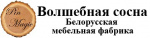 Волшебная сосна фото, изображение, картинка