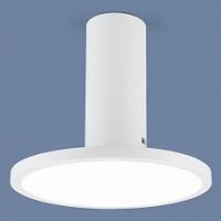 Накладной светильник Elektrostandard DLS029 a047771. Фото №1