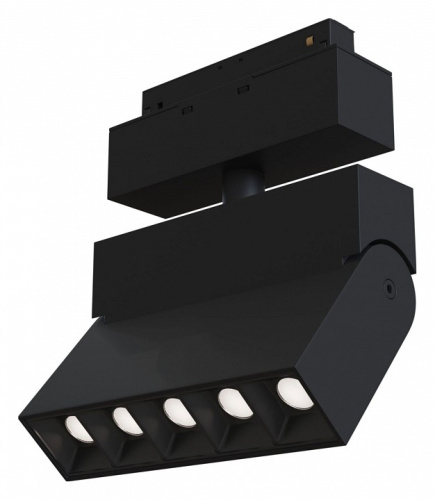 Светильник на штанге Maytoni Points TR015-2-10W3K-B. Фото №1