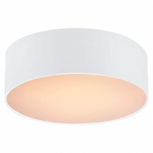 Накладной светильник Favourite Cerchi 1515-2C1. Фото №1