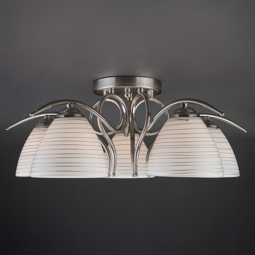 Потолочная люстра Eurosvet Megan 30121/5 сатин-никель. Фото №2