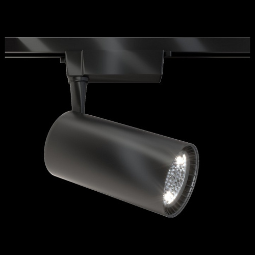 Светильник на штанге Maytoni Vuoro TR003-1-40W4K-B. Фото №1