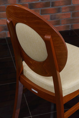 Стул  Арго-М. Фото