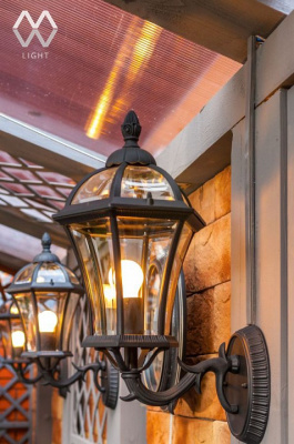 Светильник на штанге MW-Light Сандра 811020101. Фото №2