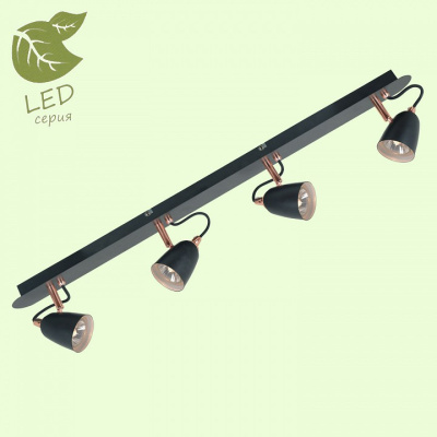 Спот Lussole New Frontino GRLSP-9854. Фото №2