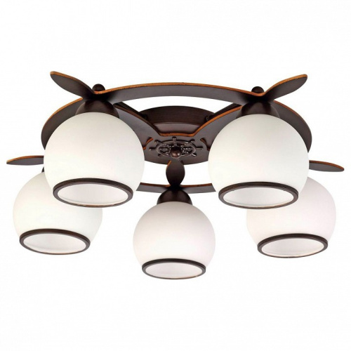 Потолочная люстра Omnilux Fronteira OML-50507-05. Фото №1