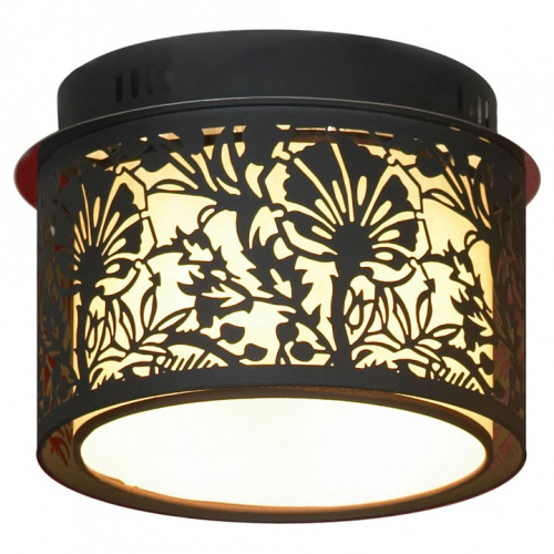 Накладной светильник Lussole Vetere LSF-2377-04. Фото №1