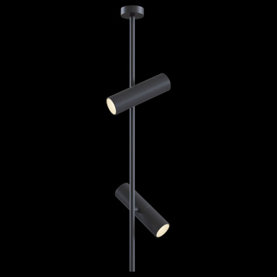 Светильник на штанге Maytoni Elti C021CL-02B фото Светильник на штанге Maytoni Elti C021CL-02B. Фото №2