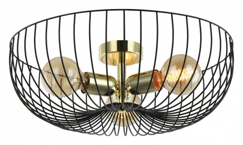 Светильник на штанге Lussole Brooks LSP-8251. Фото №1