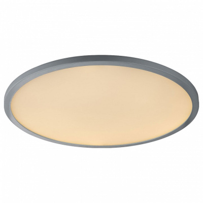 Накладной светильник Globo Sabi 41639-60. Фото